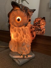 Rauchverzehrer Hummel Eule