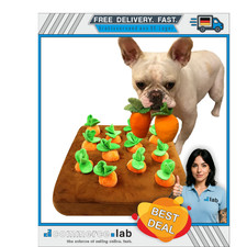 Celawork Intelligenzspielzeug