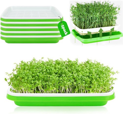 Keimschalen für sprossen - keimschalen, sprossen,5
