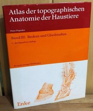 Atlas der topographischen Anatomie der Haustiere Band III: Becken und Gliedmaßen