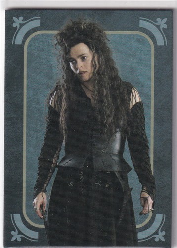 Panini harry potter evolution - panini,