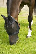 Antifliegenmaske, feiner