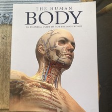 The Human Body An Essential