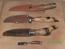 KONVOLUT HIRSCHHORN REHFUß