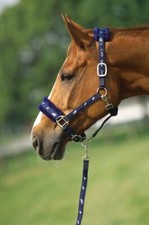 Nylon/Kunstfell Stallhalfter mit Anbindestrick im Set