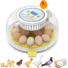 Vollautomatisch Inkubator