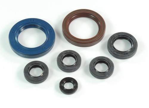 Athena motor simmerringsatz - motor,