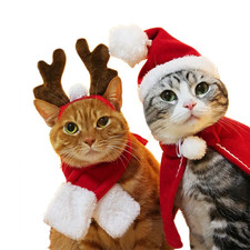 Weihnachts Hundekostüm Katze