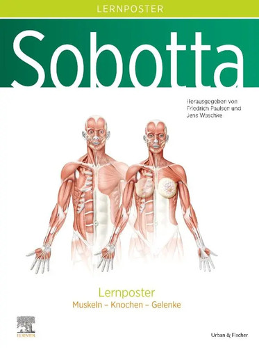 Sobotta lernposter anatomie - lernposter, |