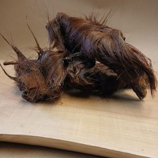 Pferde Kopfhaut mit Fell 250 g