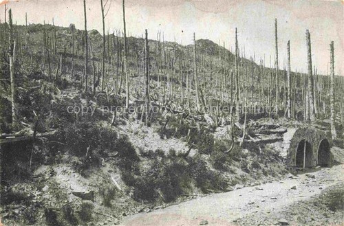 Hartmannswillerkopf