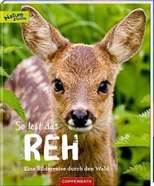 Lebt das reh eine - lebt,