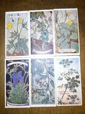 Stollwerck Sammelbilder, Album