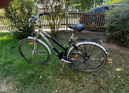 Pegasus damenfahrrad - pegasus, 28"