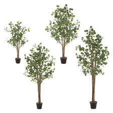 Künstlicher Eukalyptus