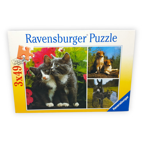 Tierpärchen katze hund esel - hund,