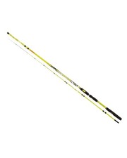 Canna Searider Bolentino