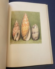 Les merveilles de la mer - Les