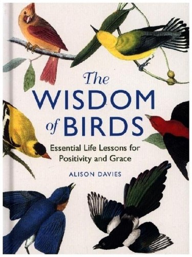 Alison davies the - alison, /