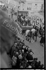 NEGATIV  Worms Karneval Fastnacht 1950 - Wagen Pferdegespann