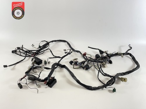 Aprilia rsv 1000 - 1000, tuono
