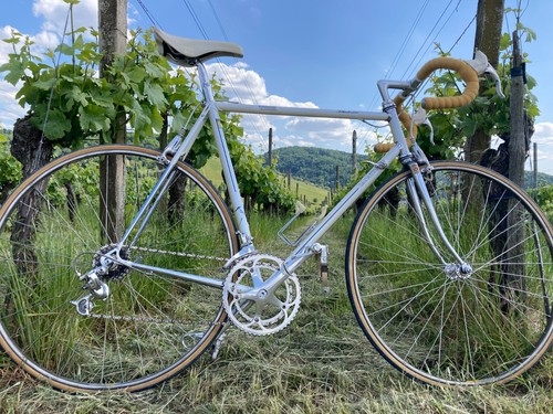 Seltenes casati settantenario - seltenes,