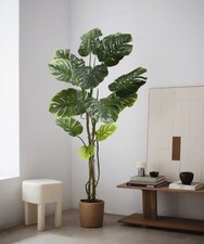 Maia Shop Kunstpflanze