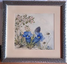 Aquarell von 1945/46 Motiv: Enzian, Edelweiß