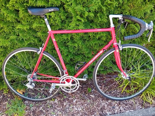 Rennrad vintage campagnolo - rennrad,