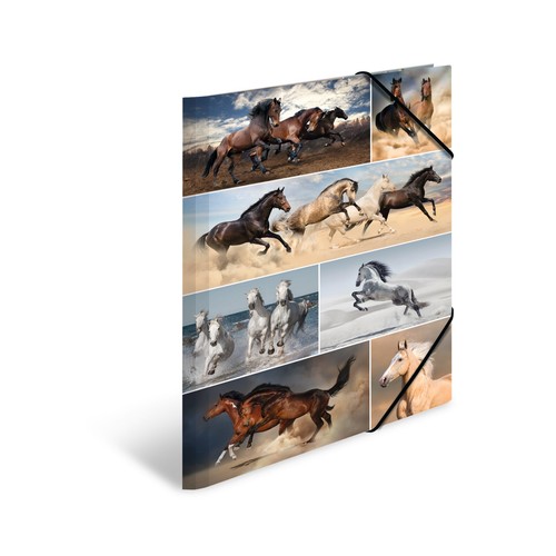 Sammelmappen pferde set 3 - a3,