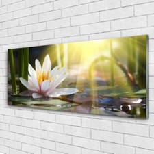 Glasbilder Wandbild Druck auf