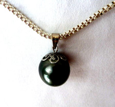 echte runde Tahiti  Zucht