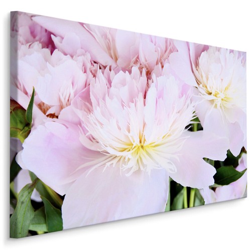 Canvas leinwand bilder - bilder, xxl