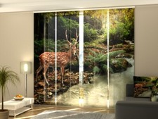 Foto-Schiebegardine Reh im