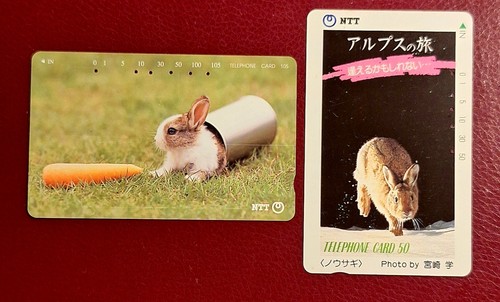 Japan hasen kaninchen - japan___hasen,