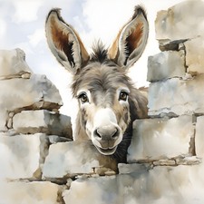 Wandbild Neugieriger Esel