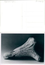 AC938 Orig. Foto Sigmaringen -