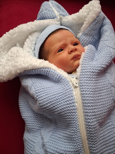 Rebornbaby gael von - rebornbaby, karola