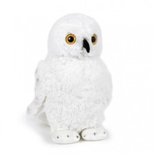 EULE  große Schneeeule