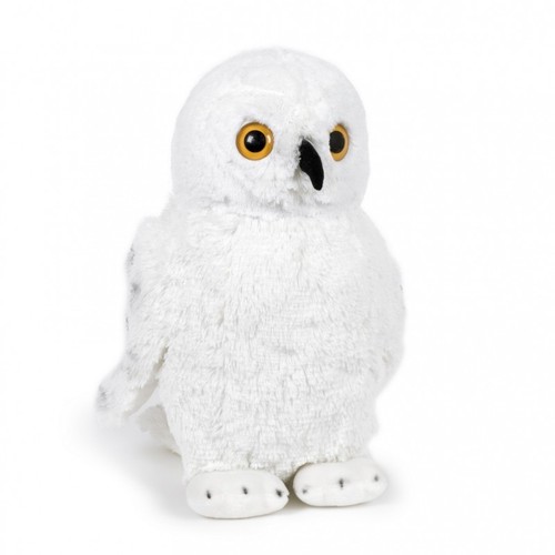 Eule große schneeeule - eule,