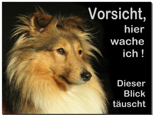 Collie-Hund-Alu-Schild-3