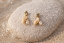 Muschel Ohrringe
