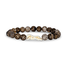 Fahlo sprint cheetah - cheetah, kalahari