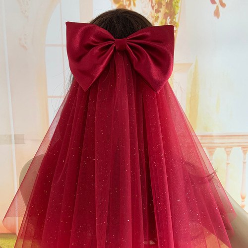 Hochzeit braut schleier - braut,