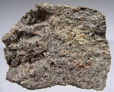 BISMUTIT pseud. FEDERWISMUT