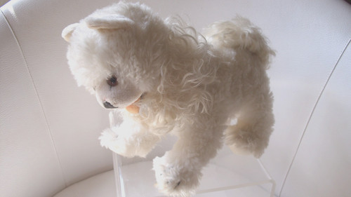 Steiff cosy blanko weißer - cosy,