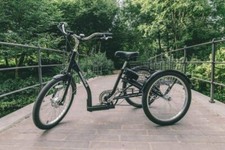 AMCargoBikes Elektro-Dreirad 250w Gepäck Trike 24" Räder 9Ah Akku - schwarz