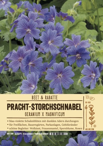 Geranium magnificum - magnificum,