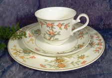 Villeroy & Boch Heinrich BONZAI - 1 Kaffeegedeck