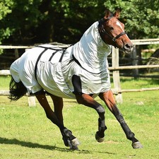 BUSSE Ekzemerdecke STRONG silber 155 cm Pferdecke